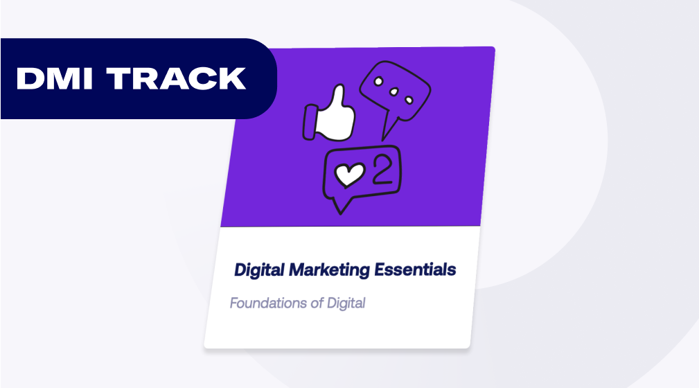 DMI Strategy & Leadership